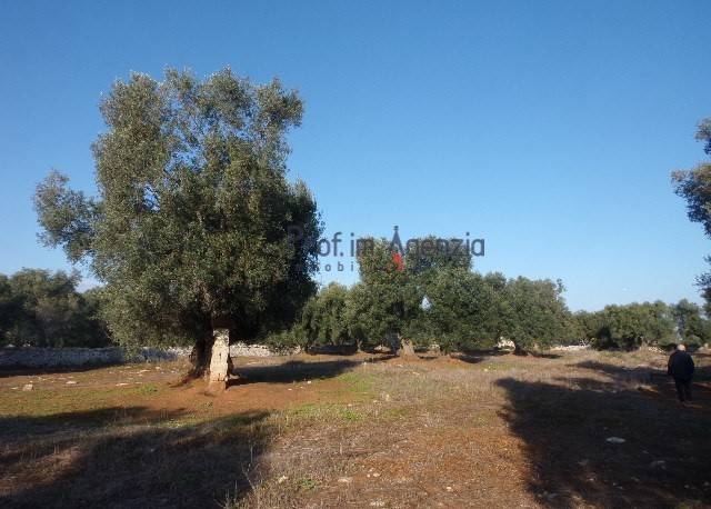 immagine annuncio 6 di 9