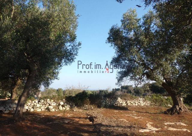 immagine annuncio 8 di 9