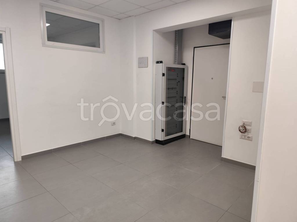 immagine annuncio 4 di 12