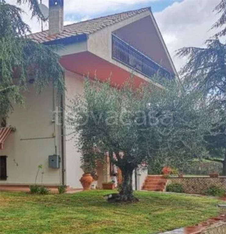 immagine annuncio 3 di 12