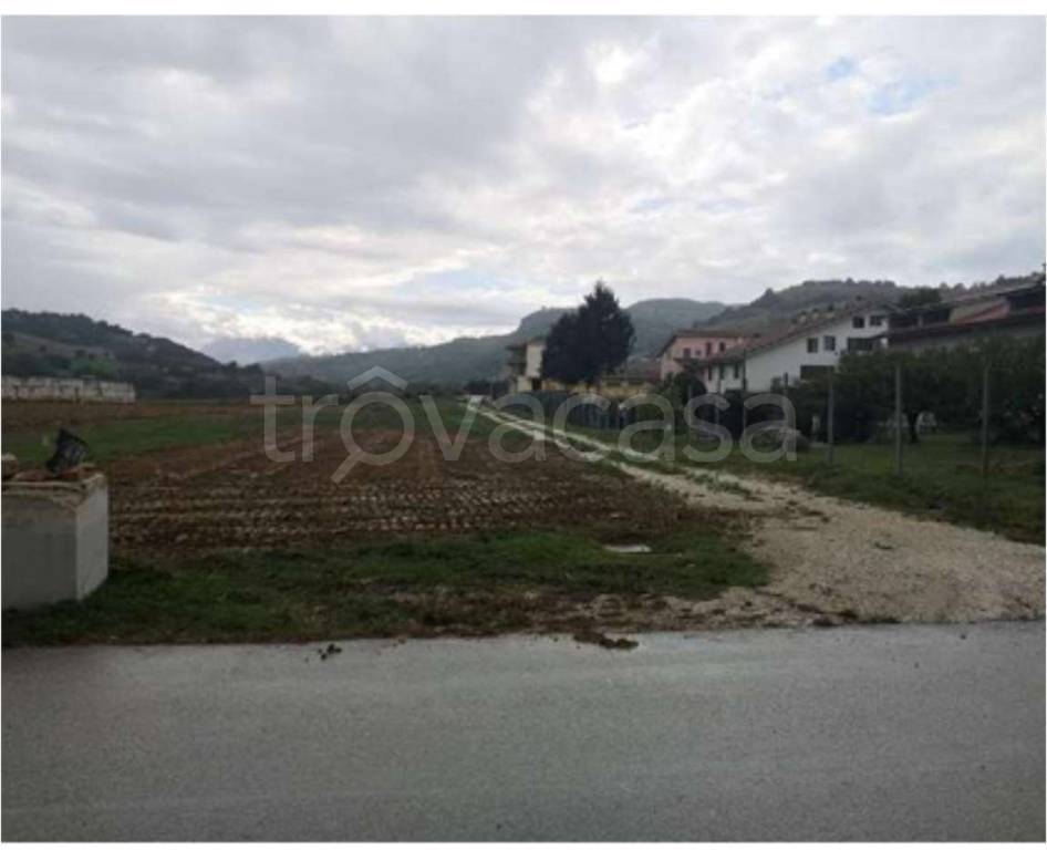 immagine annuncio 11 di 12