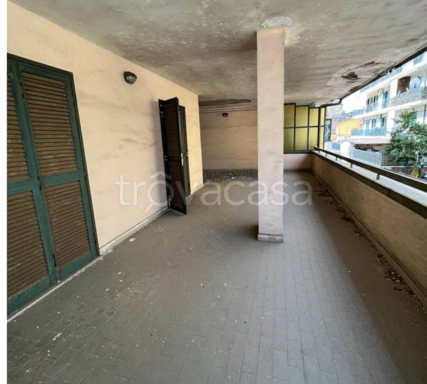 immagine annuncio 5 di 14