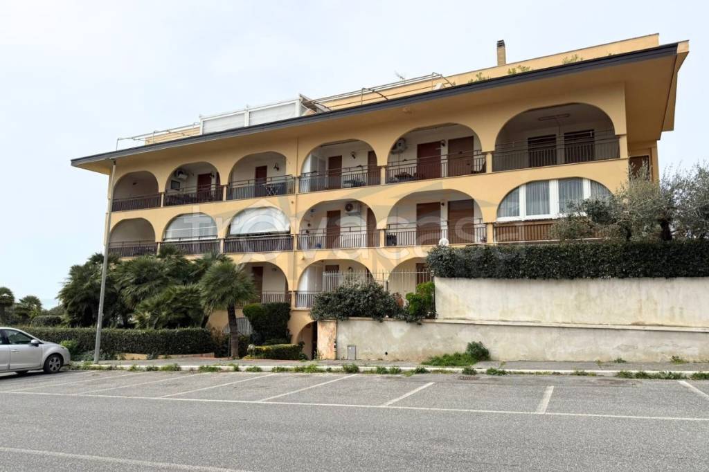 immagine annuncio 7 di 11