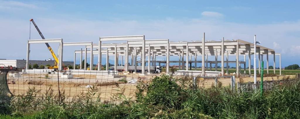 immagine annuncio 10 di 11