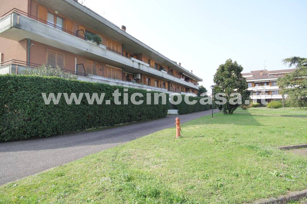 immagine annuncio 1 di 14