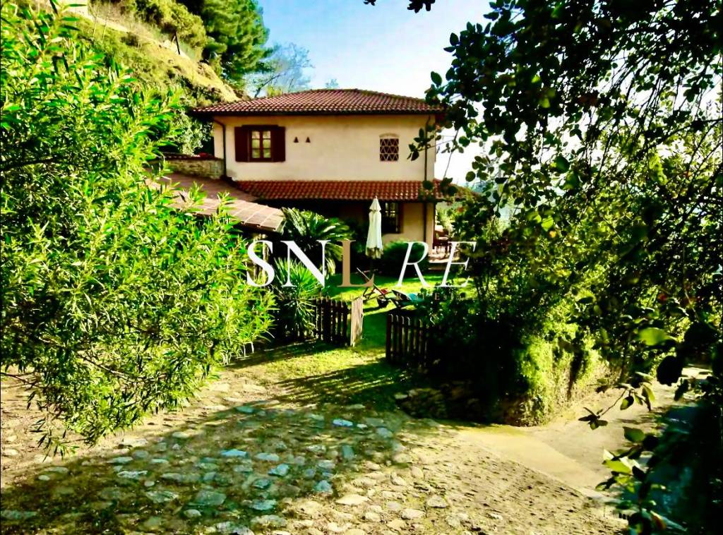 immagine annuncio 13 di 14