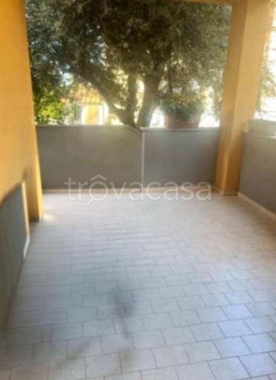 immagine annuncio 2 di 14