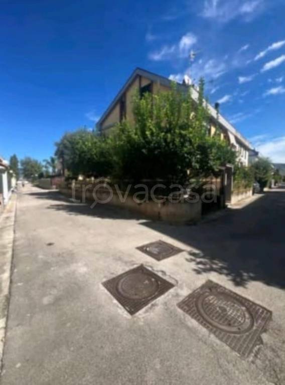 immagine annuncio 7 di 14