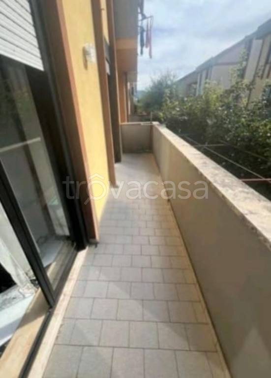 immagine annuncio 11 di 14