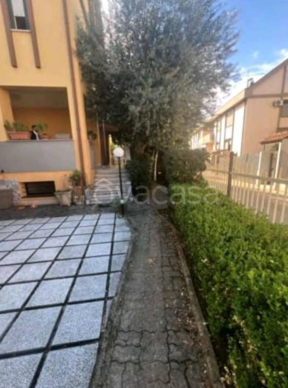 immagine annuncio 13 di 14