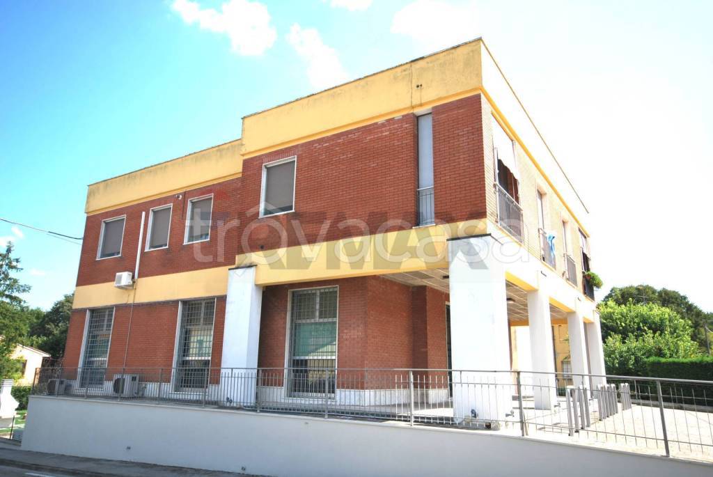 immagine annuncio 2 di 7