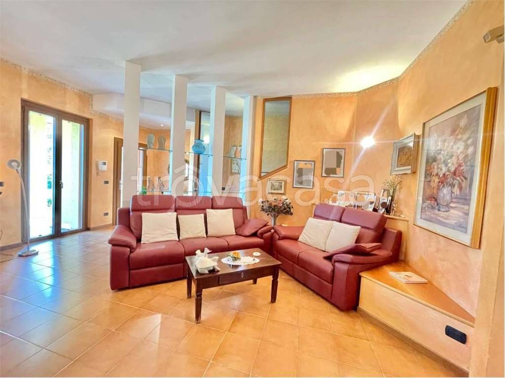 immagine annuncio 5 di 15