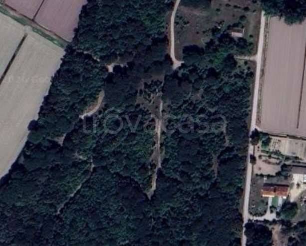 immagine annuncio 10 di 11