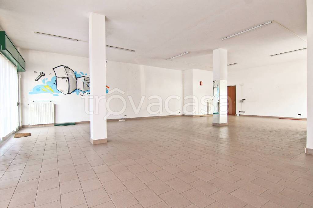 immagine annuncio 5 di 11