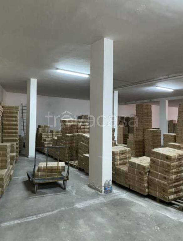 immagine annuncio 7 di 11