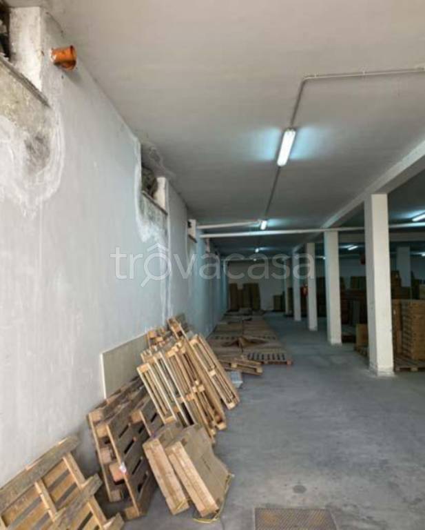 immagine annuncio 8 di 11