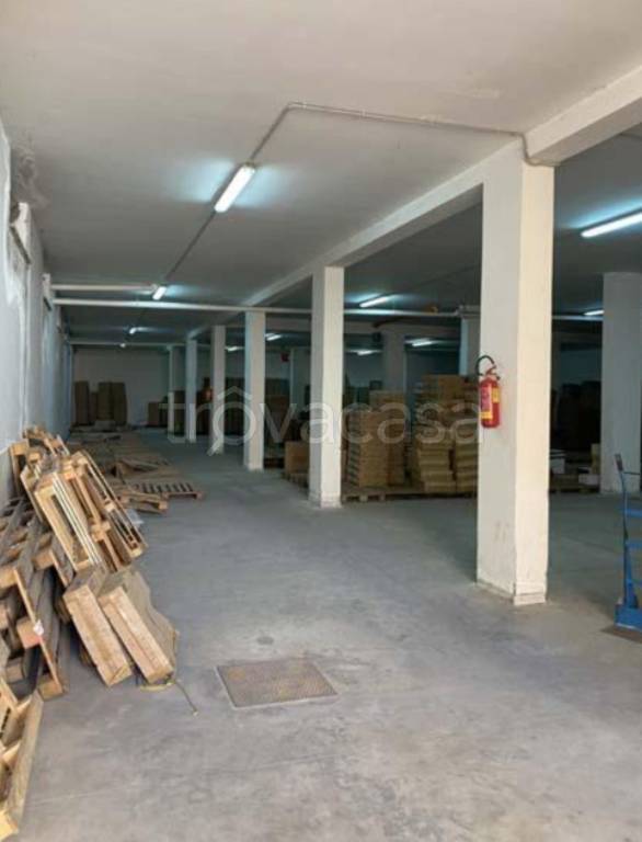 immagine annuncio 9 di 11