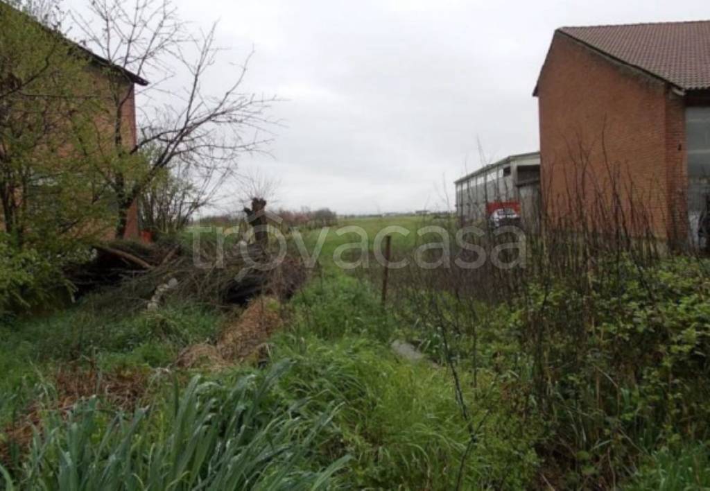 immagine annuncio 5 di 13