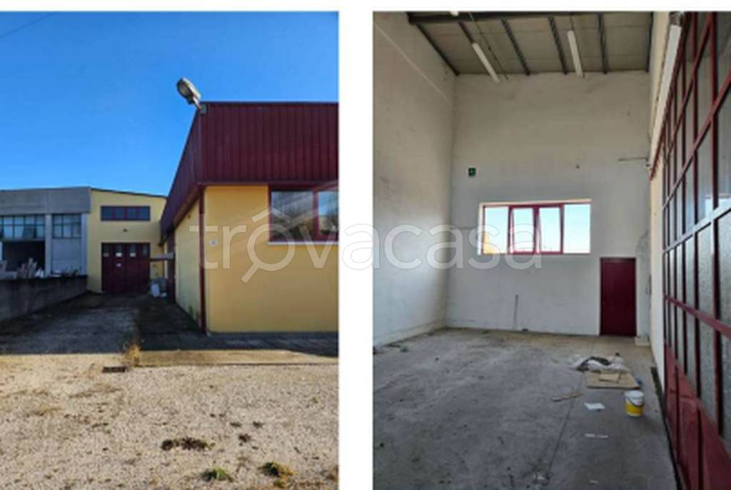 immagine annuncio 10 di 11