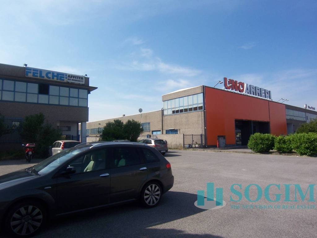 immagine annuncio 3 di 11