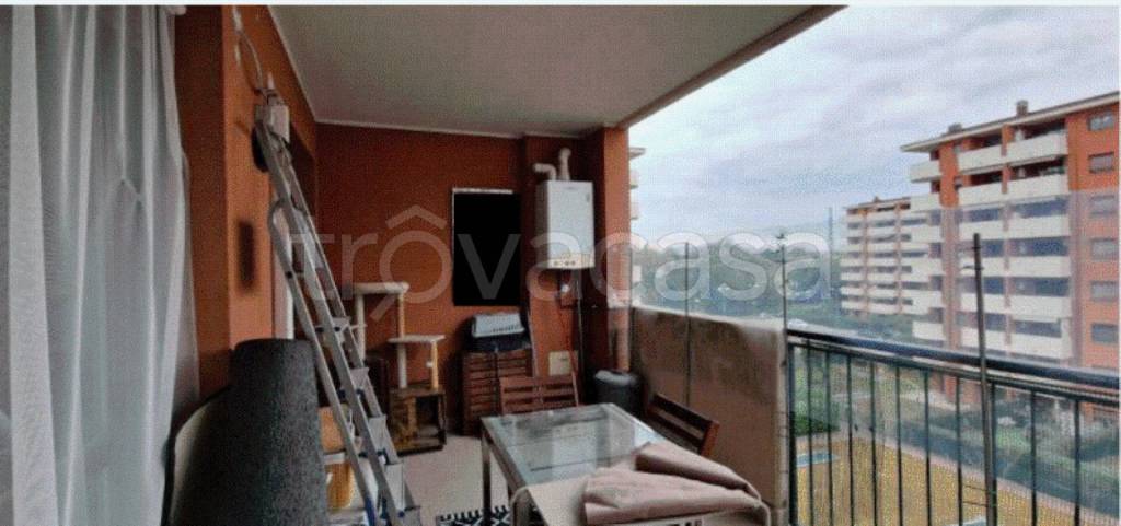 immagine annuncio 5 di 11