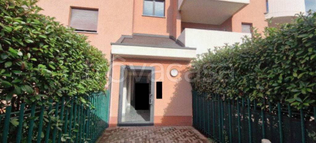 immagine annuncio 7 di 11