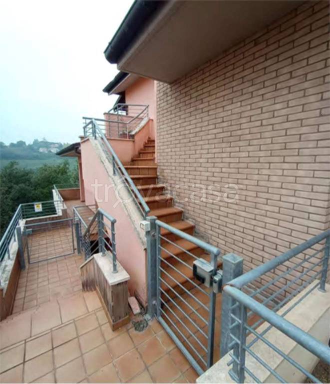 immagine annuncio 9 di 13