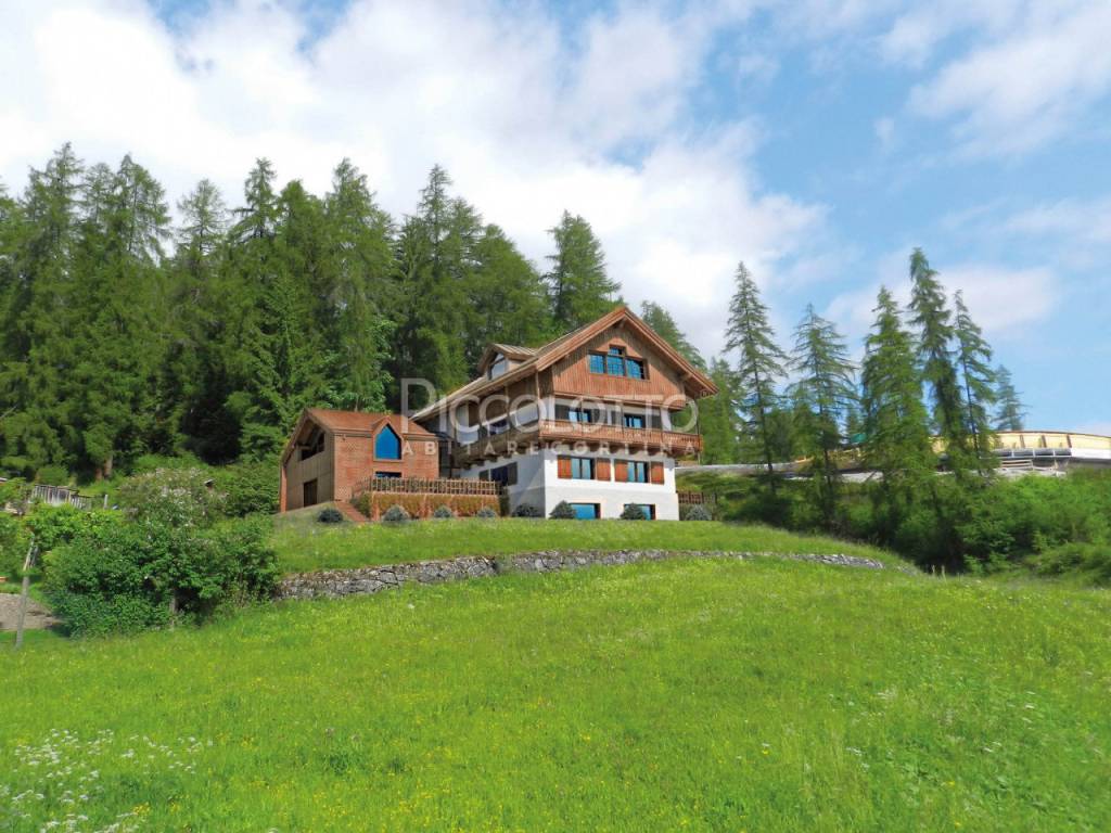 immagine annuncio 1 di 13