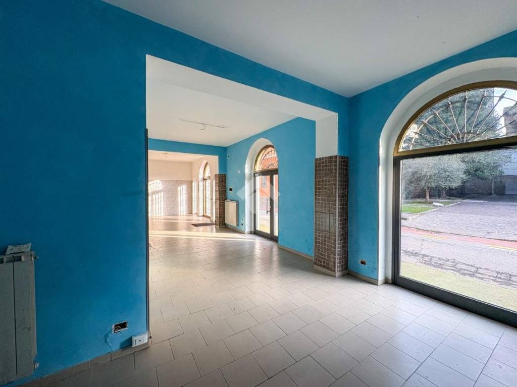 immagine annuncio 3 di 12