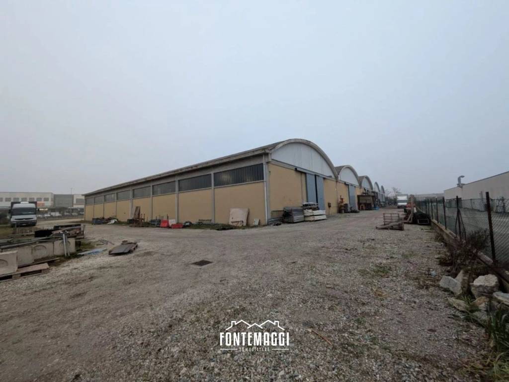 immagine annuncio 12 di 15