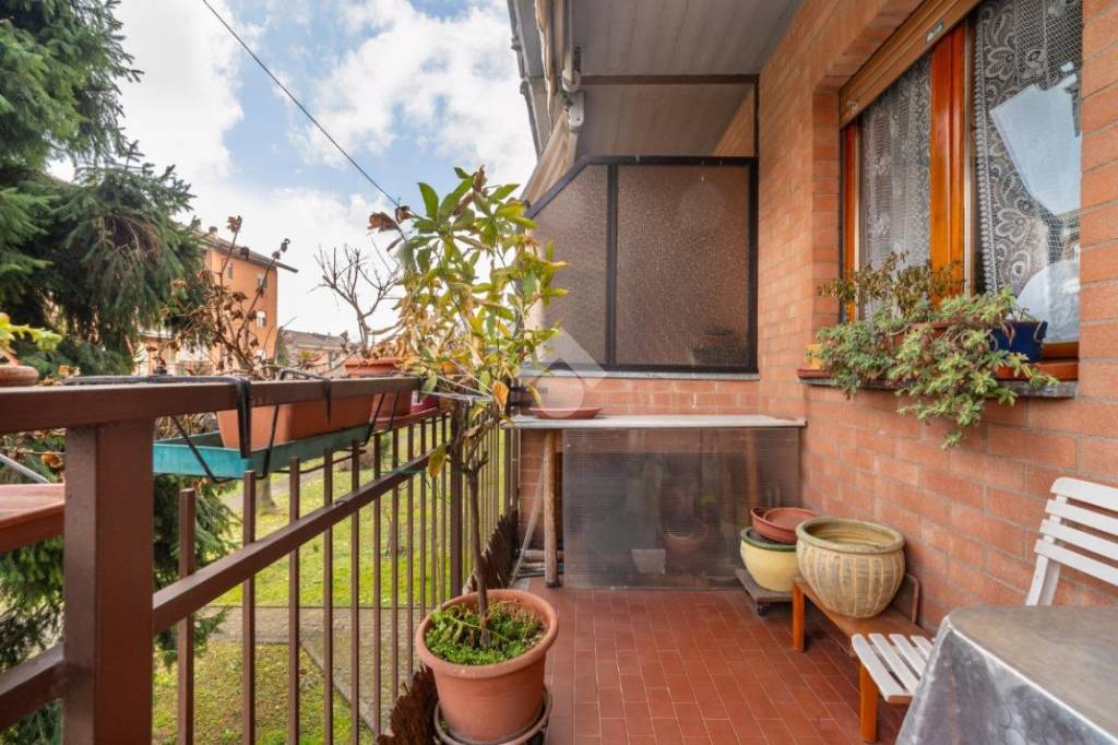 immagine annuncio 6 di 15