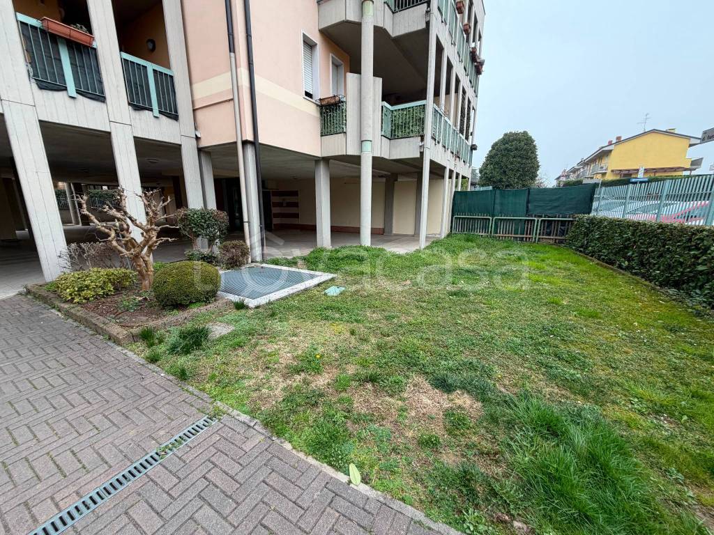 immagine annuncio 3 di 15