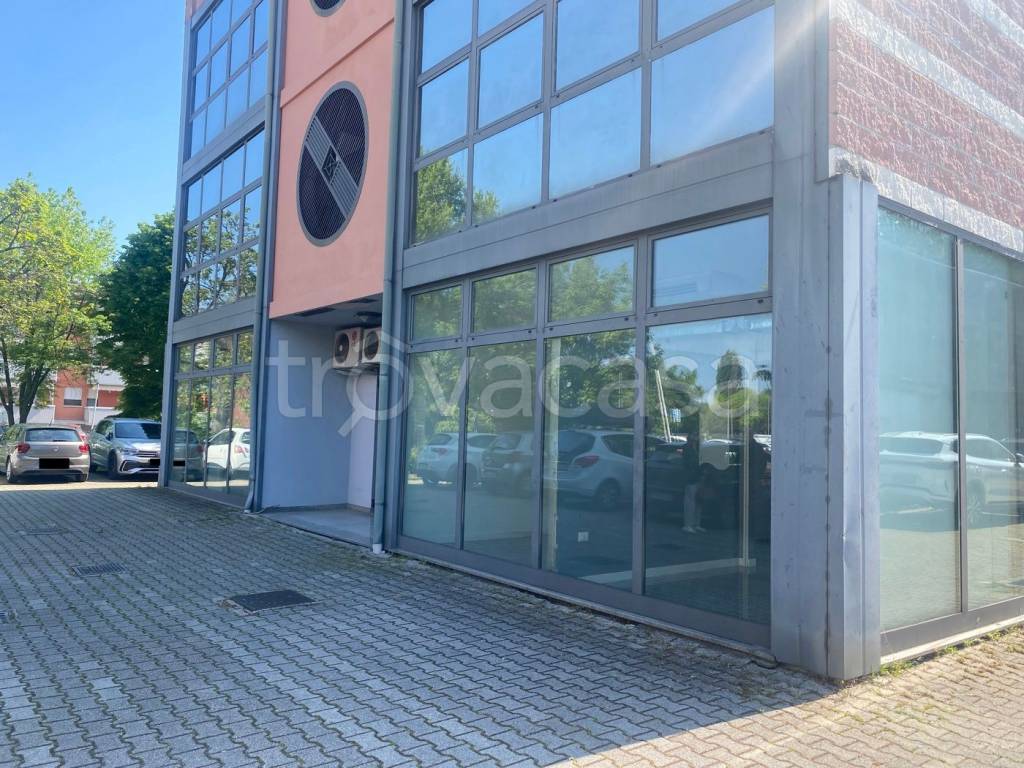 immagine annuncio 1 di 11