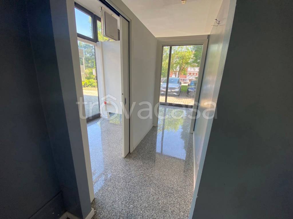 immagine annuncio 5 di 11