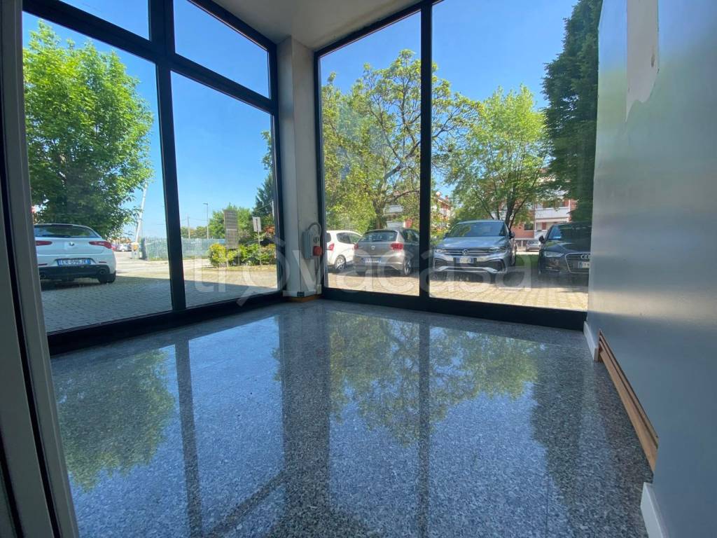 immagine annuncio 6 di 11