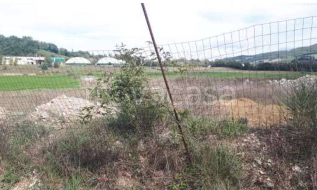 immagine annuncio 6 di 11