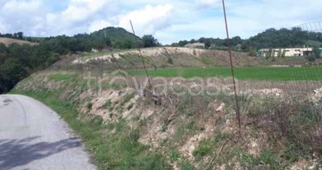 immagine annuncio 7 di 11