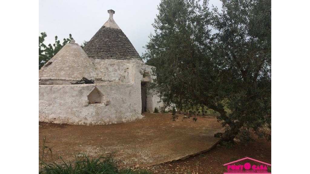 immagine annuncio 1 di 6