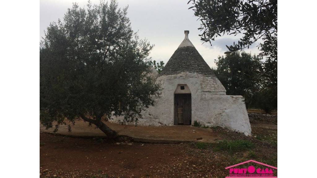 immagine annuncio 3 di 6