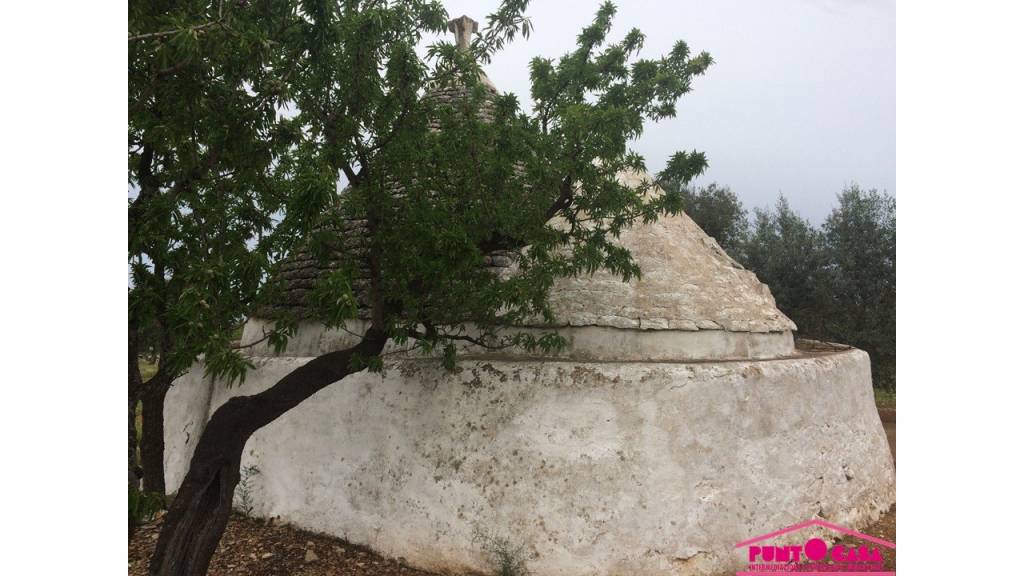 immagine annuncio 4 di 6