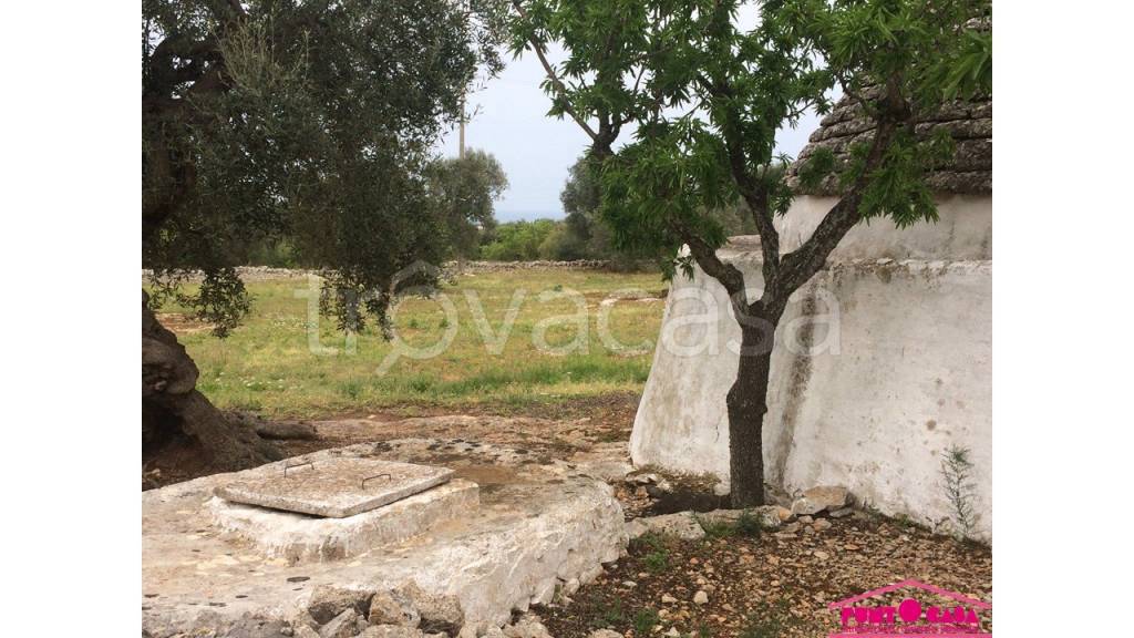 immagine annuncio 5 di 6