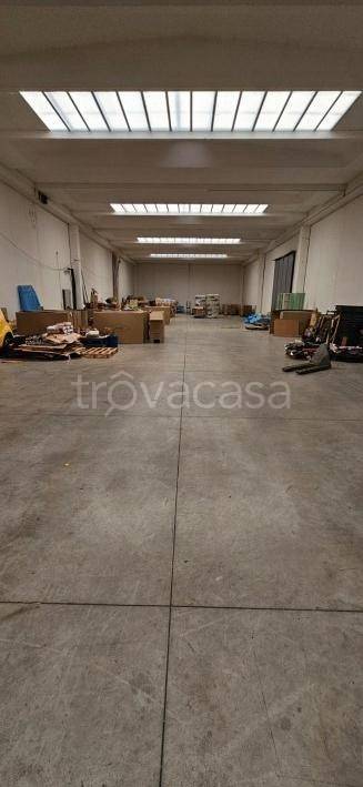 immagine annuncio 9 di 11