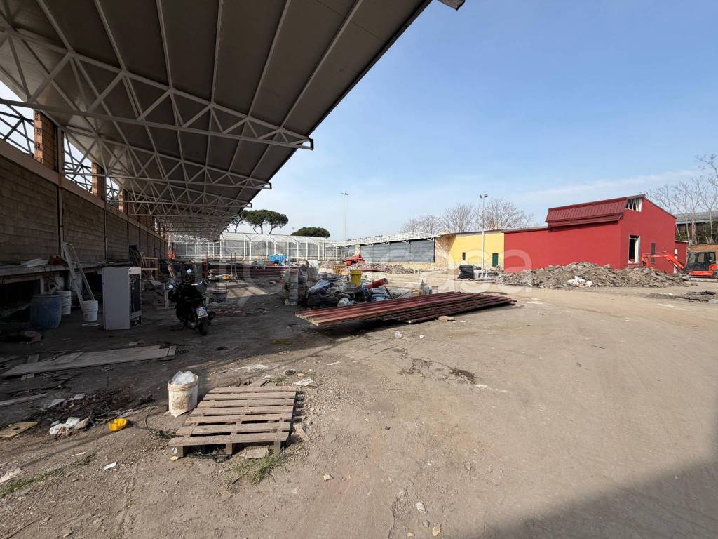 immagine annuncio 14 di 15