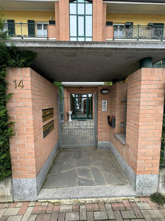 immagine annuncio 6 di 15