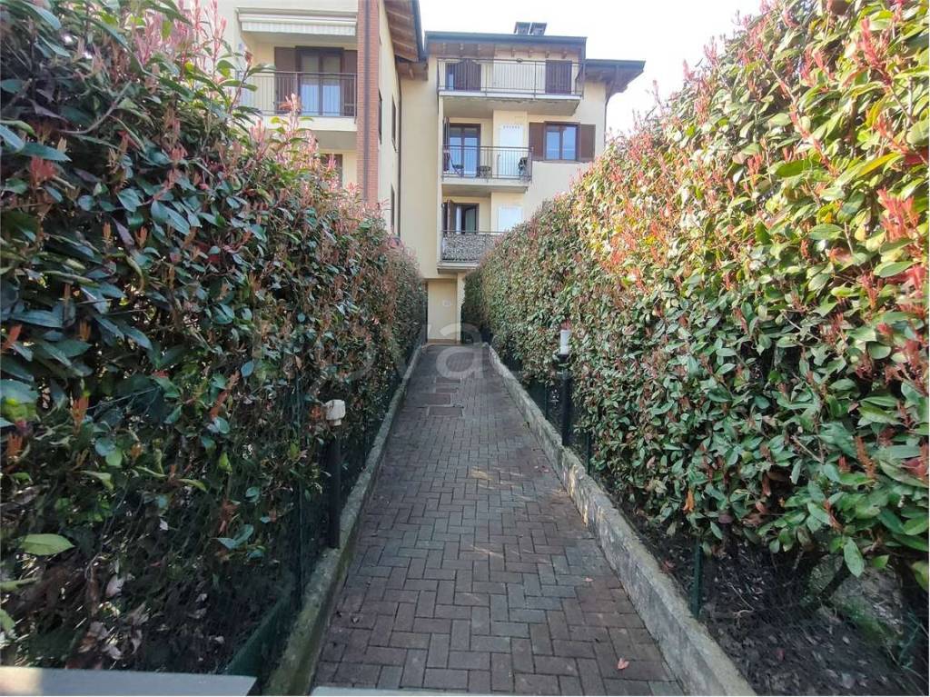 immagine annuncio 7 di 15