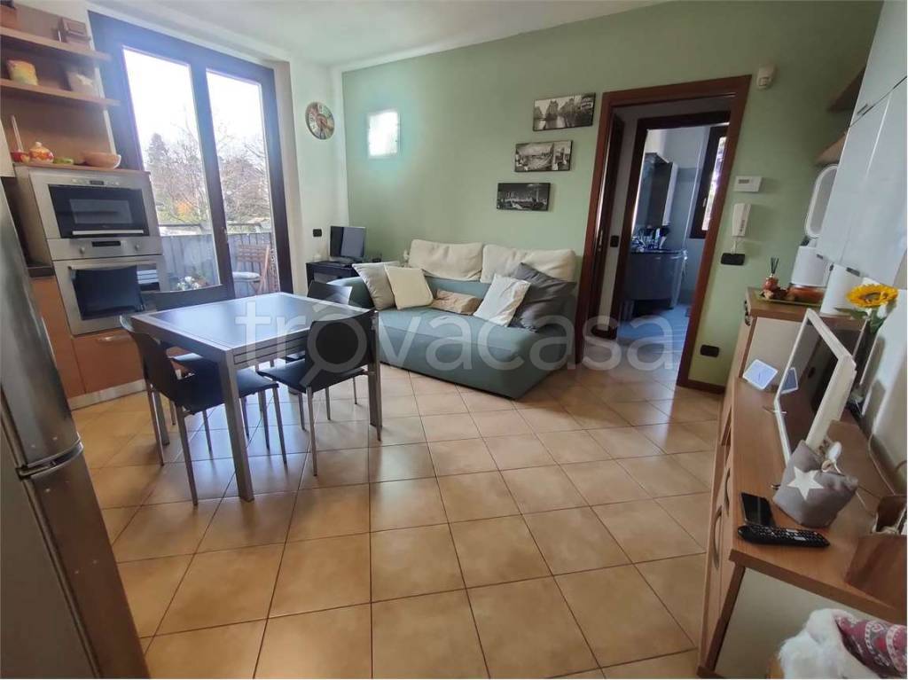 immagine annuncio 11 di 15