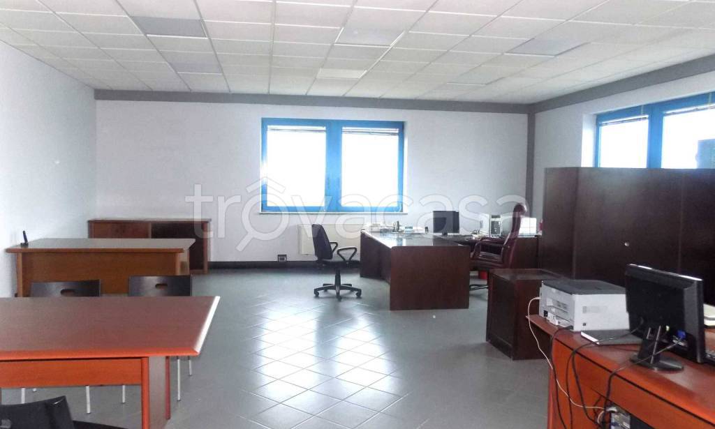 immagine annuncio 6 di 13