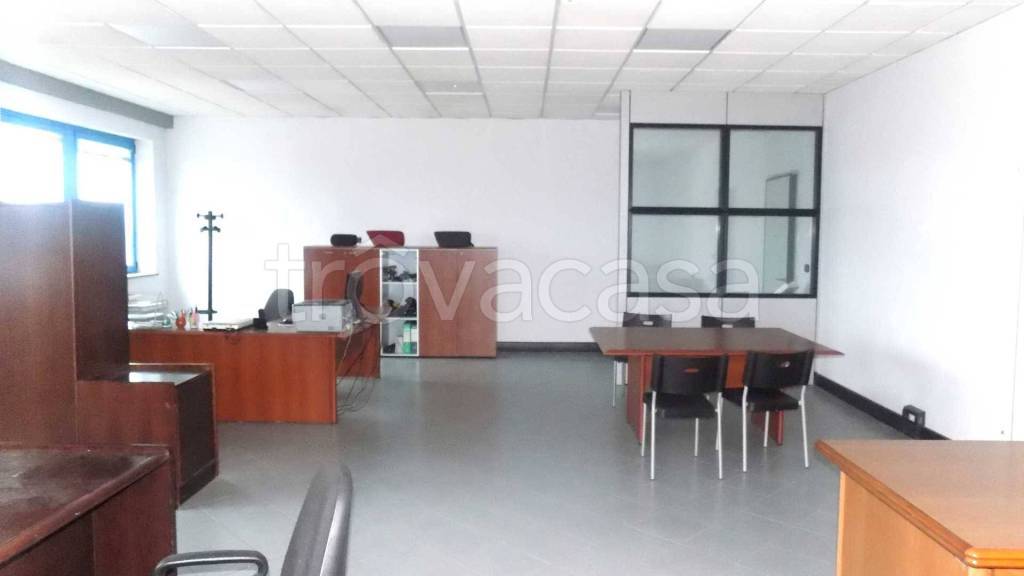 immagine annuncio 7 di 13