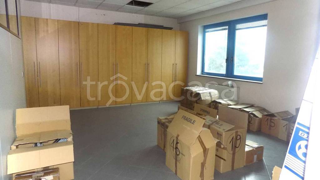 immagine annuncio 8 di 13