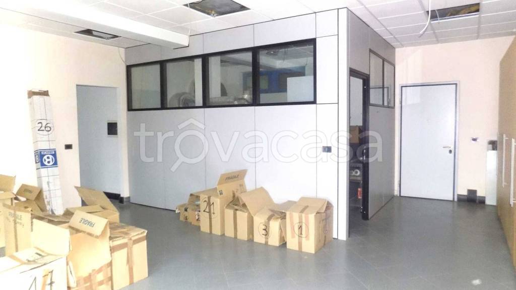 immagine annuncio 9 di 13